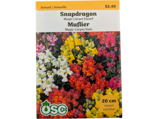 Snapdragon Magic Carpet Dwarf