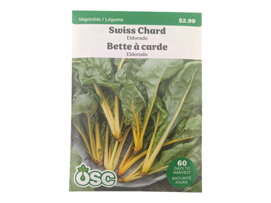 Swiss Chard Eldorado