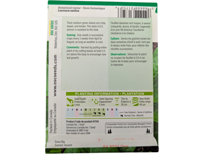 Lettuce Buttercrunch