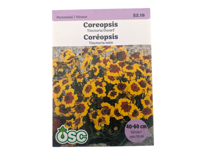 Coreopsis Tinctoria Dwarf