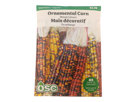 Ornamental Corn Mixed Colours