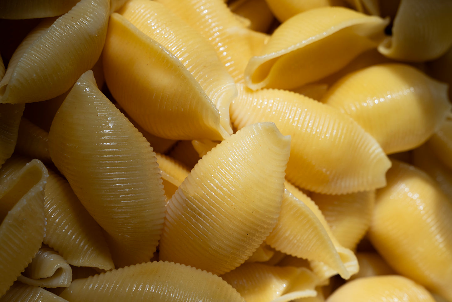 Stuffed Pasta Shells - 2kg