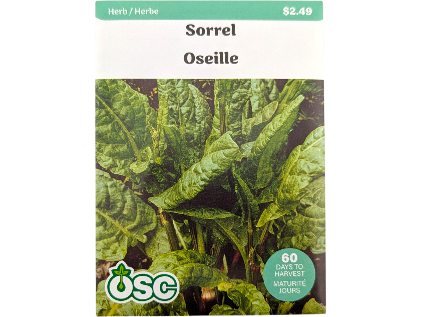 Sorrel