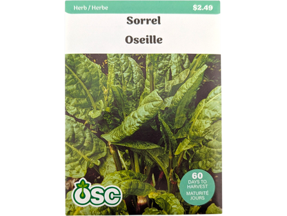 Sorrel