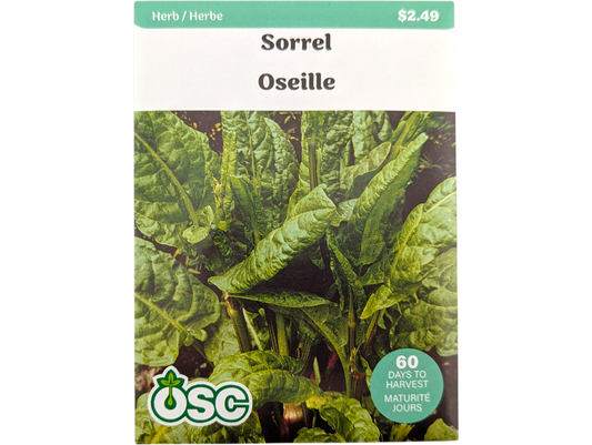 Sorrel