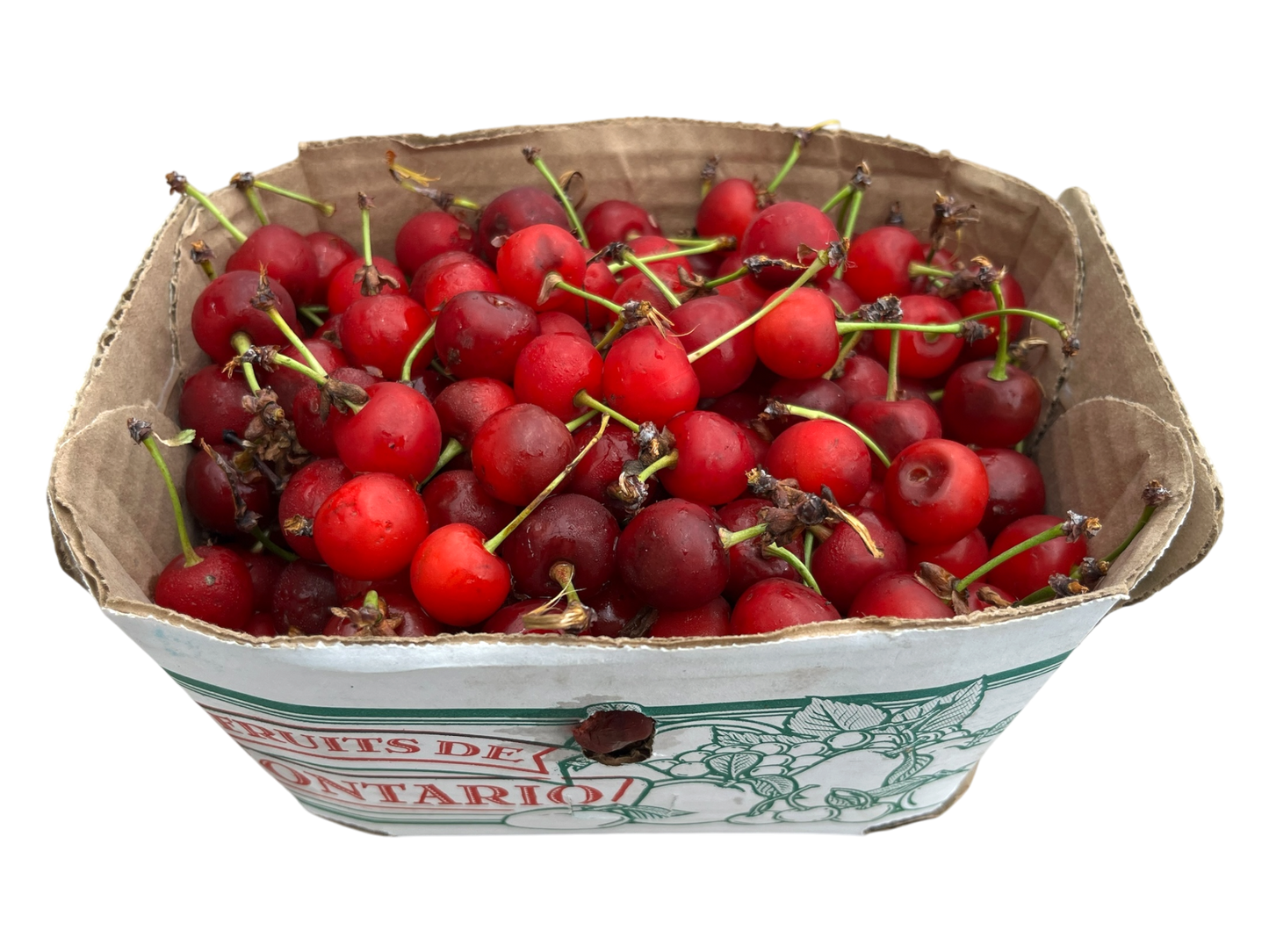 Local Sour Cherries