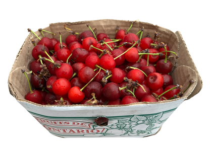 Local Sour Cherries