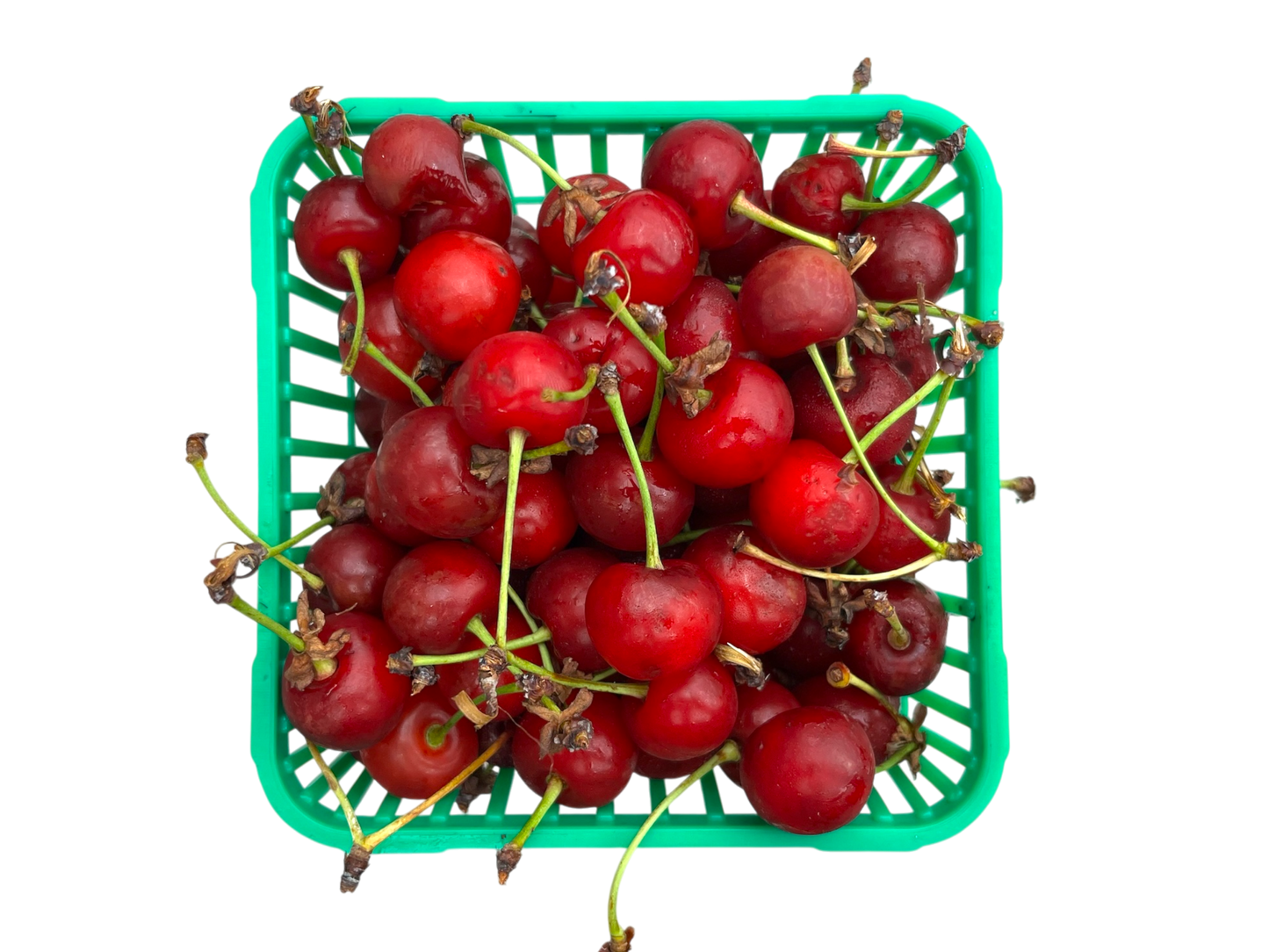 Local Sour Cherries