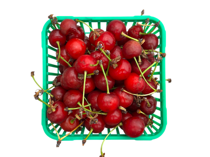 Local Sour Cherries