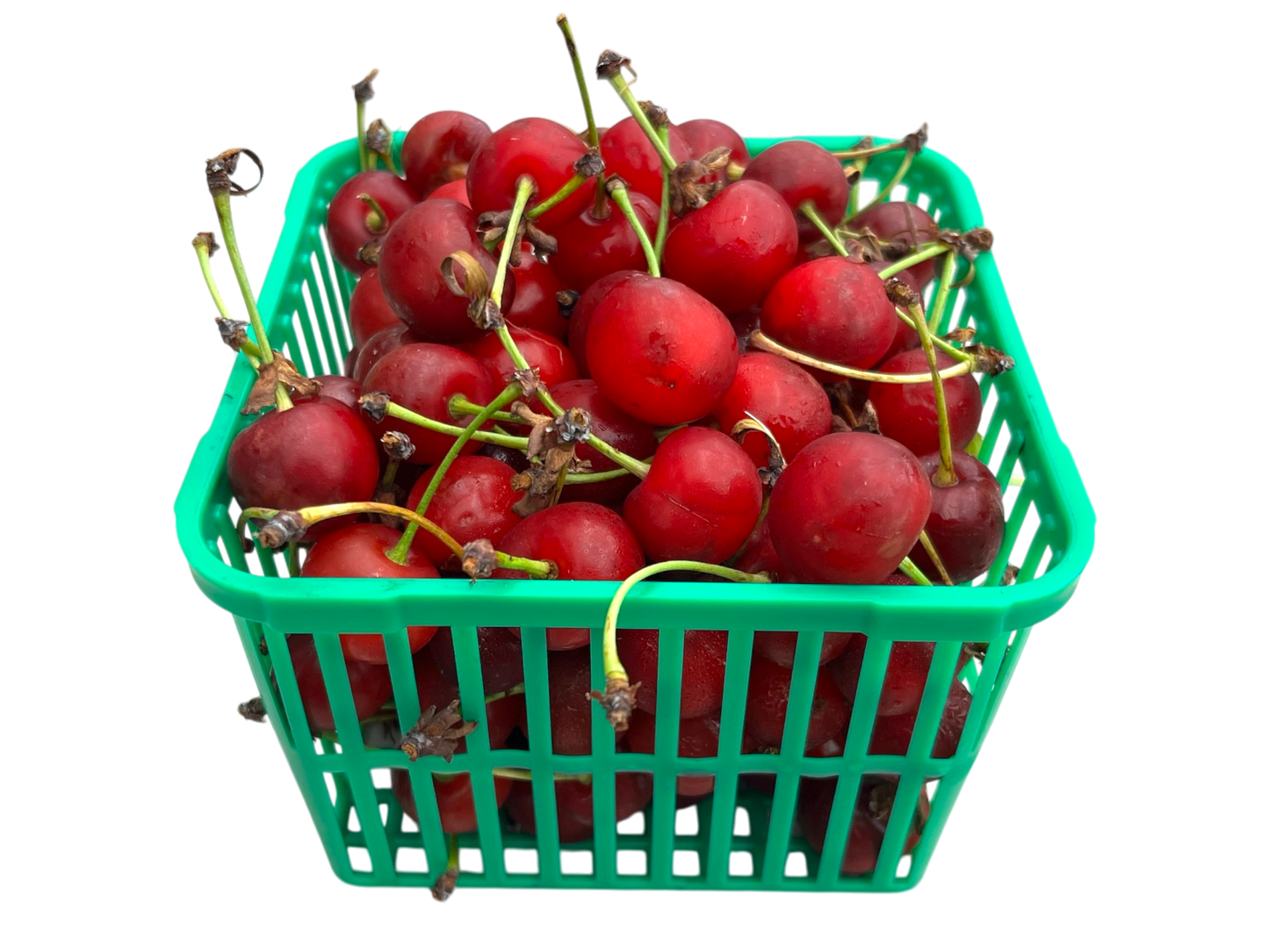 Local Sour Cherries