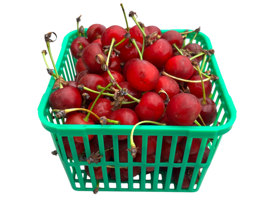Local Sour Cherries