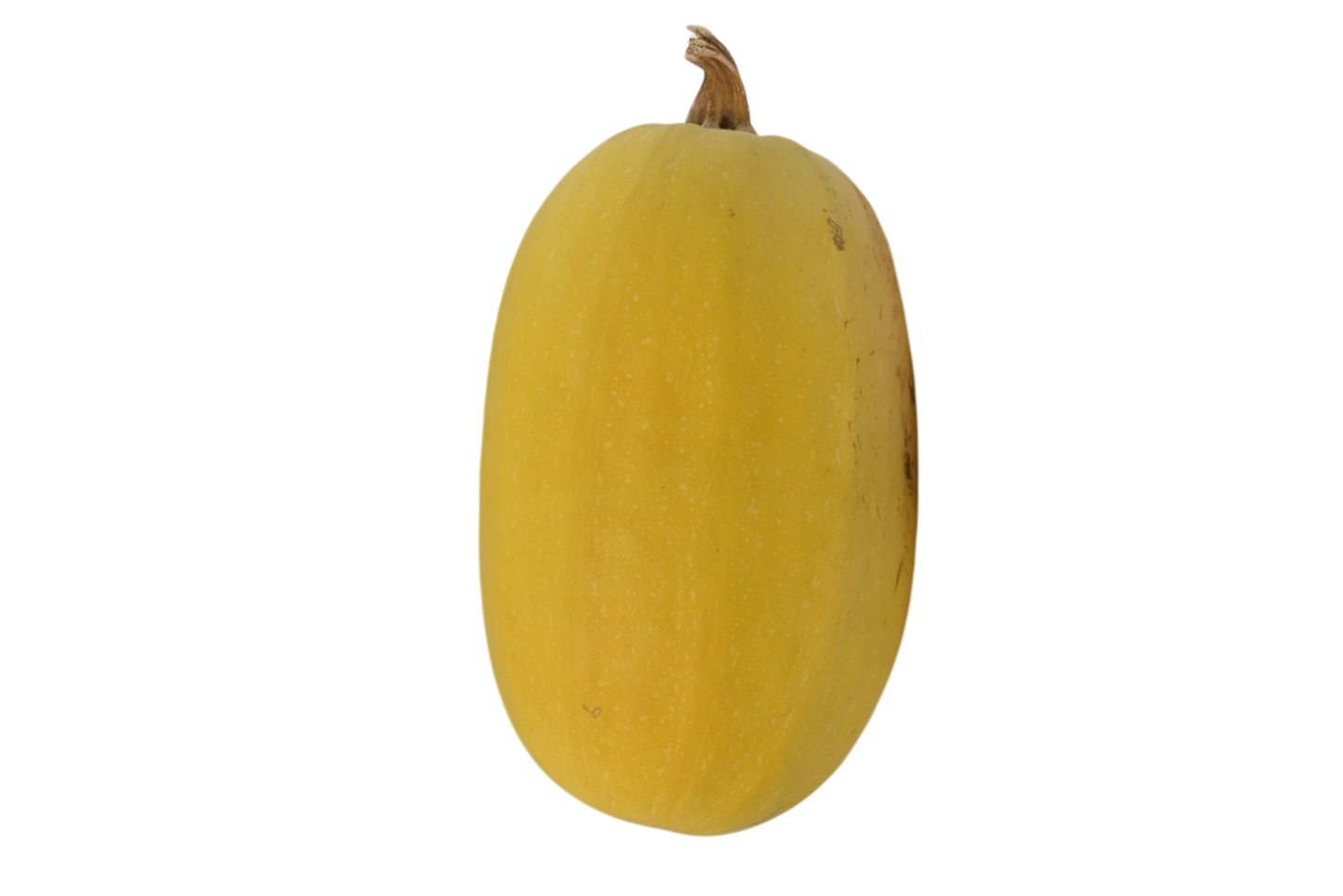 Spaghetti Squash