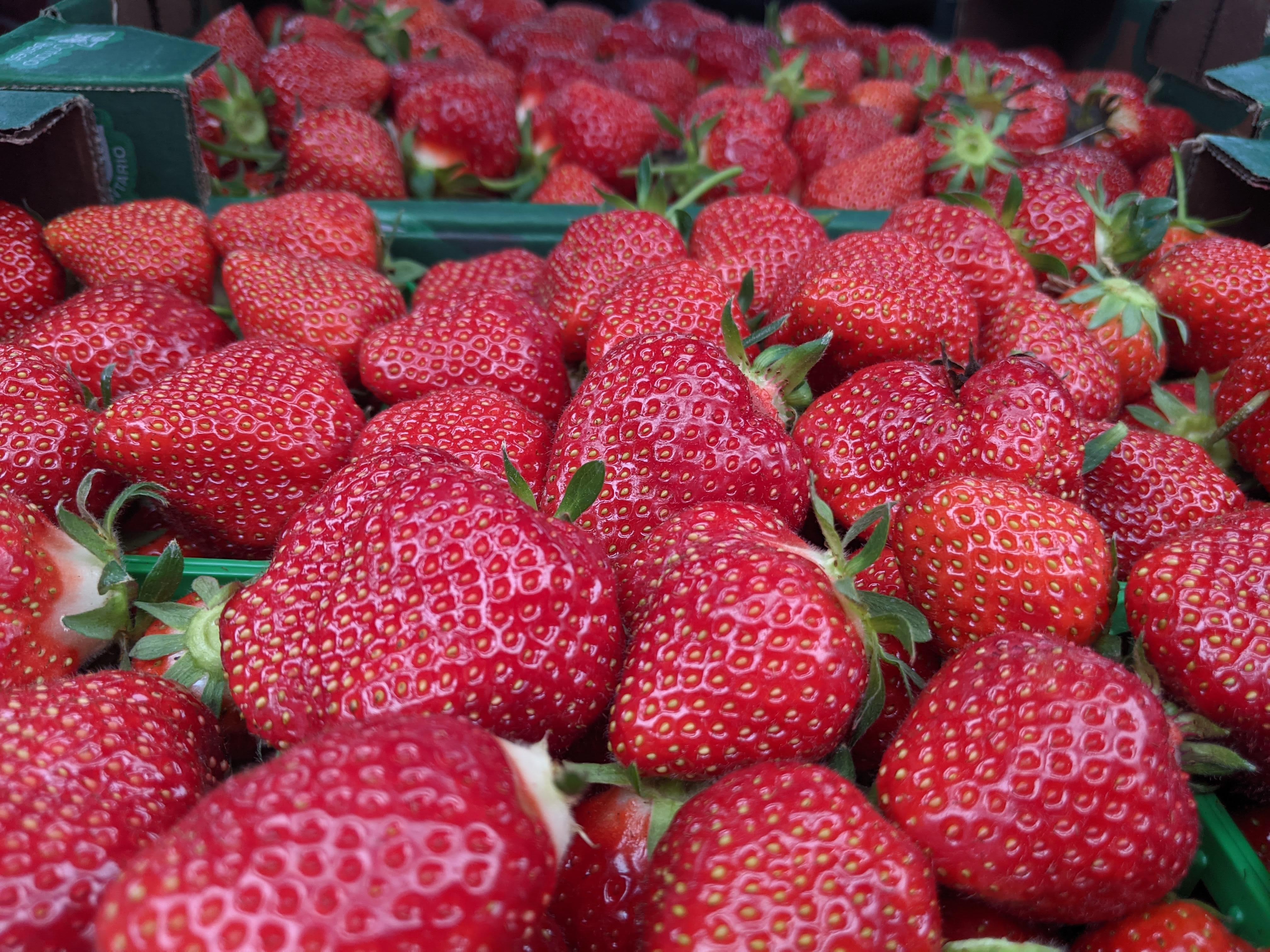 Strawberries- Local Fenwick