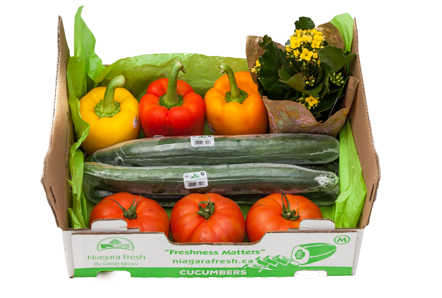 Veggie Box