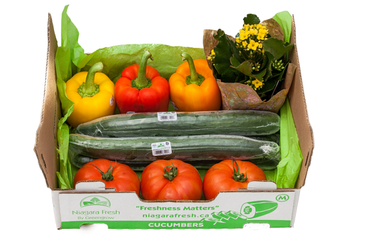 Veggie Box