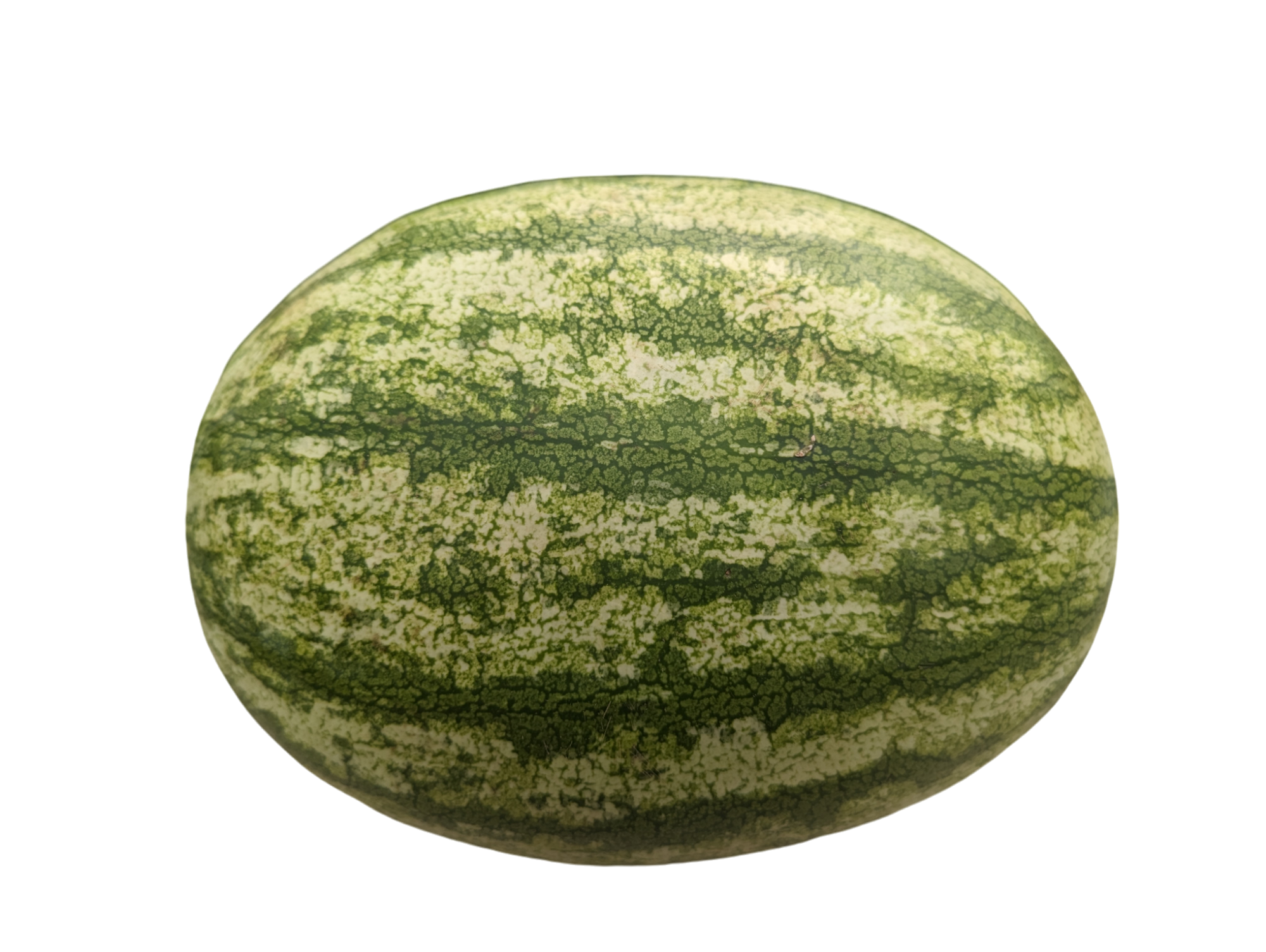 Seedless Watermelon (Approximately 14lbs) – Niagara Fresh Market