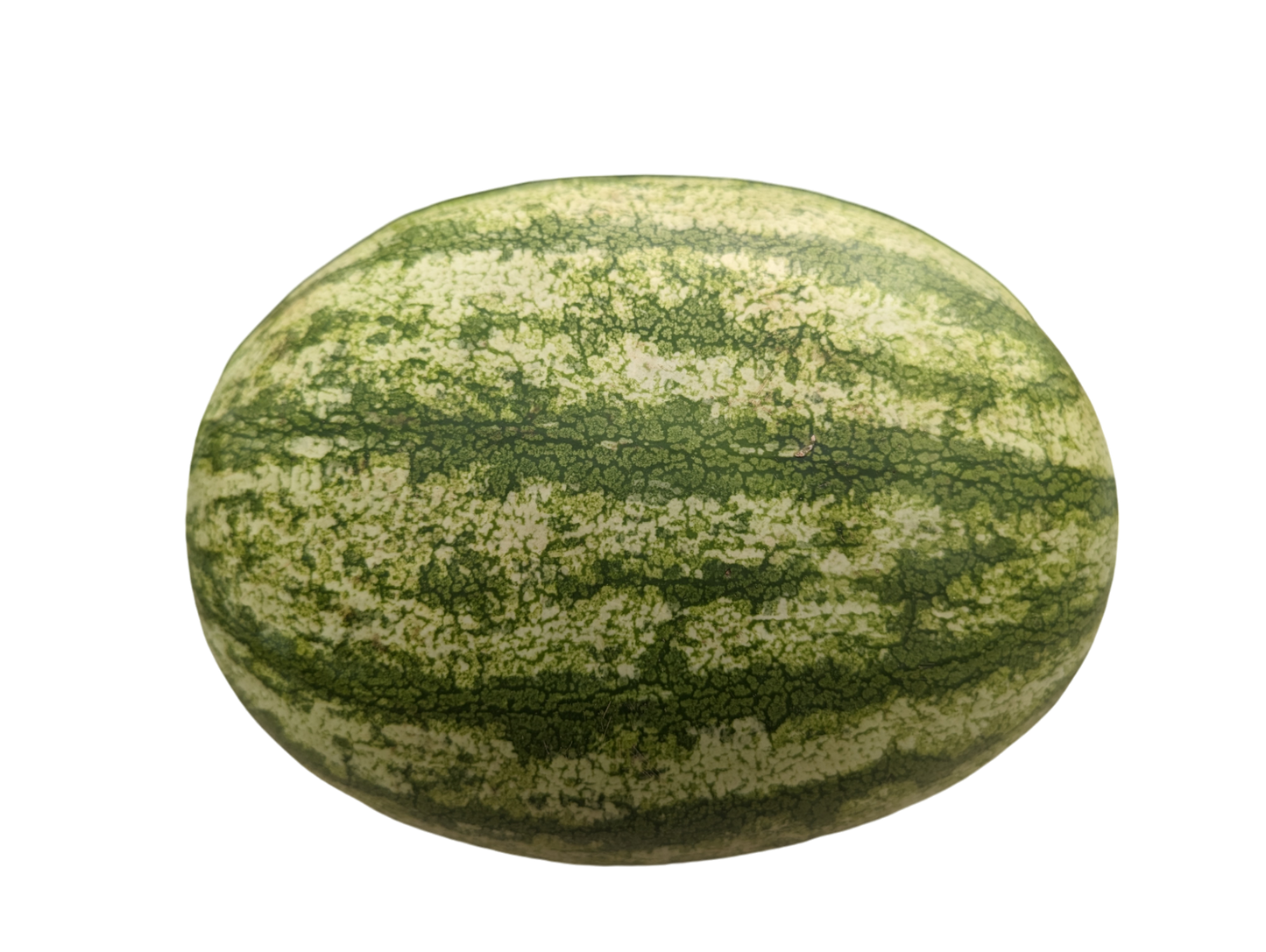 Seedless Watermelon
