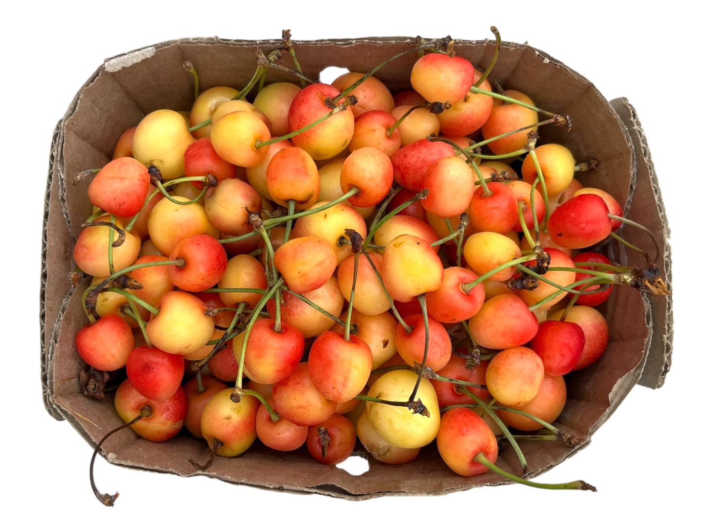Local White Cherries