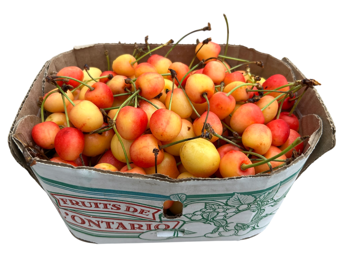 Local White Cherries