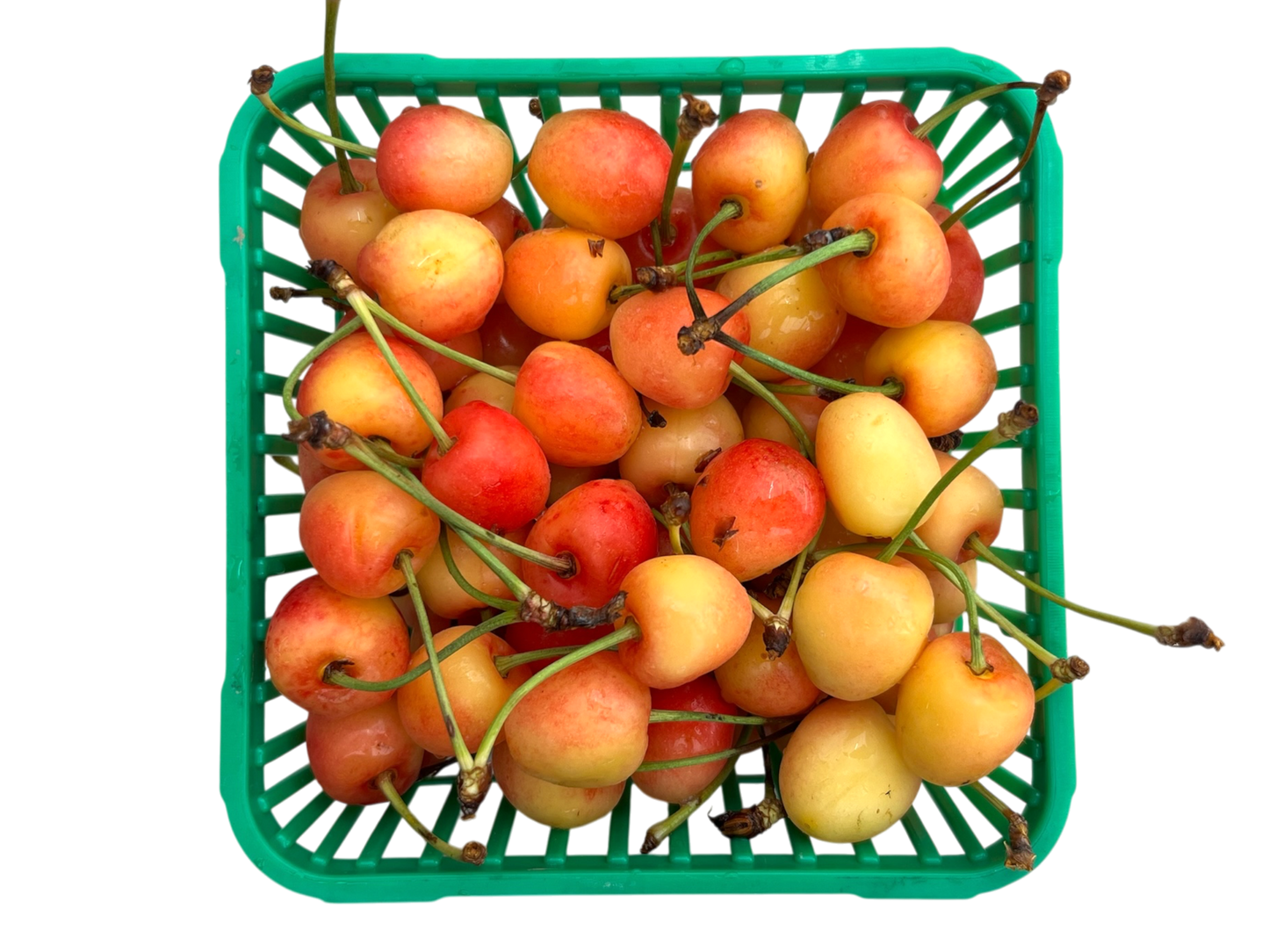 Local White Cherries