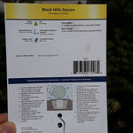 Load image into Gallery viewer, Black Hills Spruce - 5 Gallon
