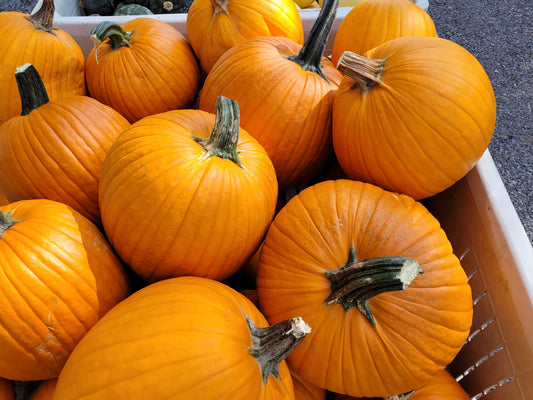 Carving Pumpkins