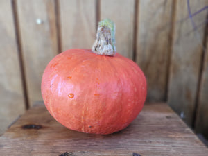 Squash - Local