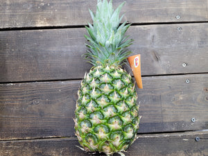 Pineapple