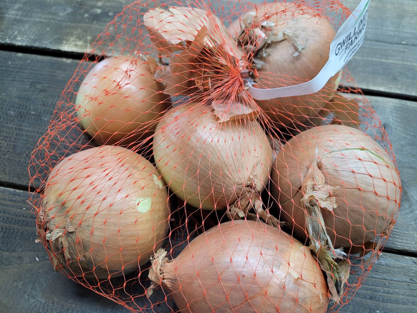 Spanish Onions - Local (Ontario)