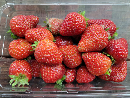 Strawberries - Ontario (greenhouse)