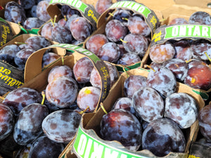 Blue Plums - Local
