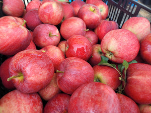 Gala Apples - Local
