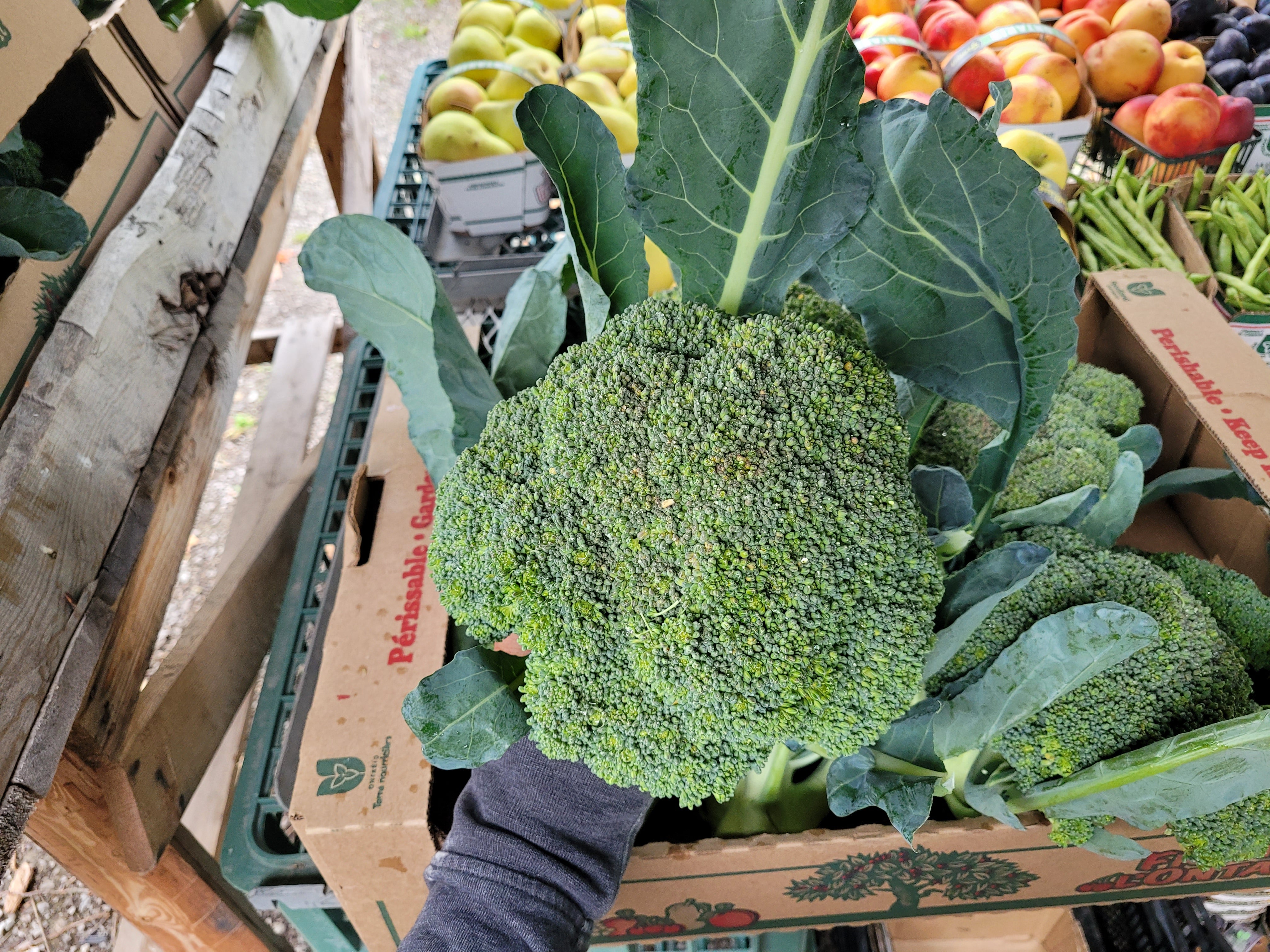 Local Broccoli