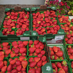 Load image into Gallery viewer, Strawberries- Local Fenwick
