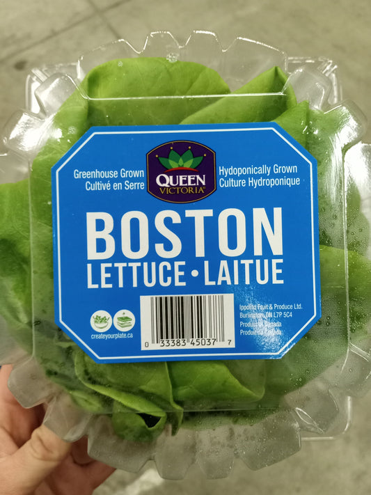 Boston Lettuce - Canada