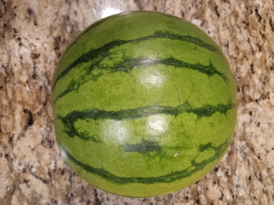 Mini Seedless Watermelon