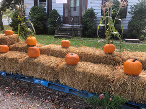 Straw Bales