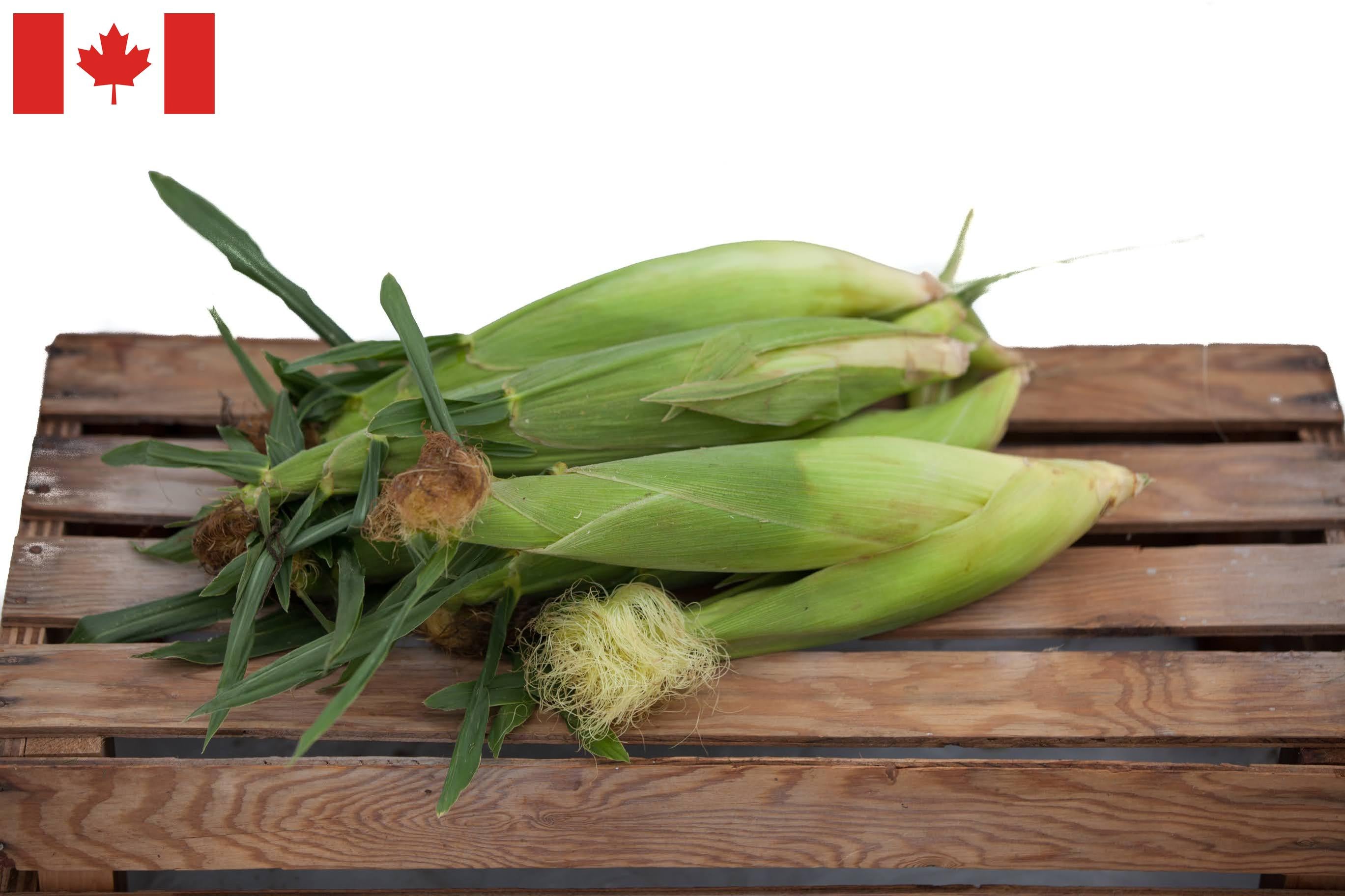 Local Sweet Corn