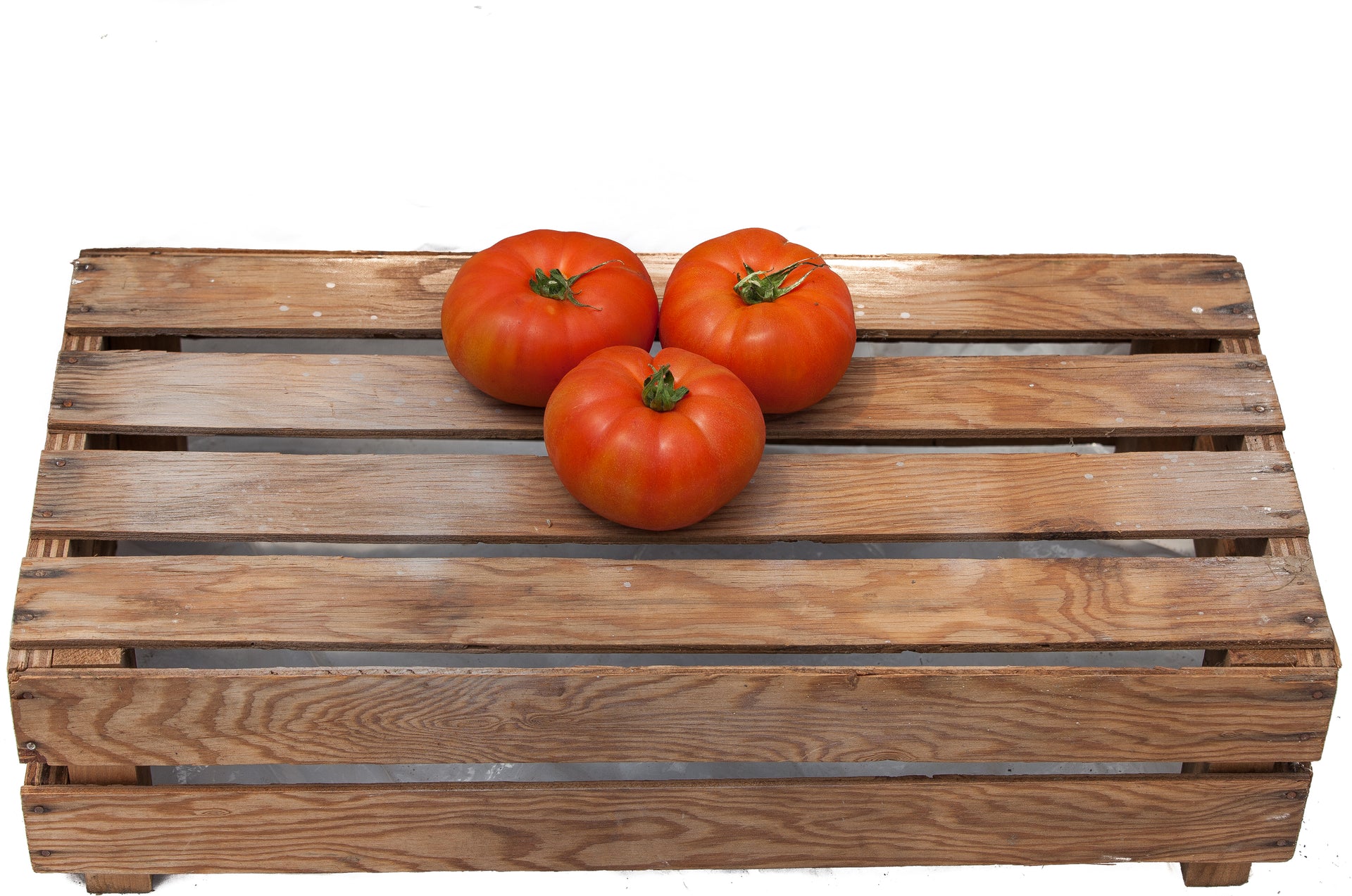 Beefsteak Tomato – Millennium Pacific Greenhouse