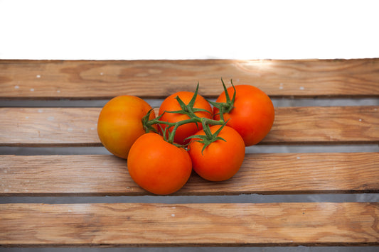 Cluster Tomato (Tomato on the Vine) - Homegrown