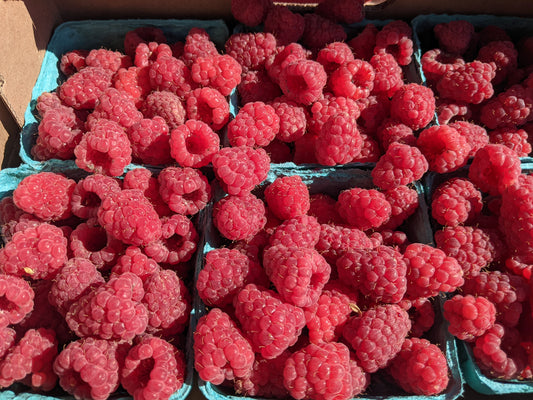 Local Raspberries