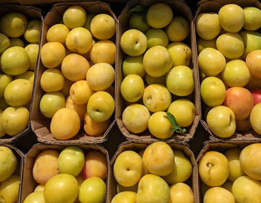Yellow Plums - Local