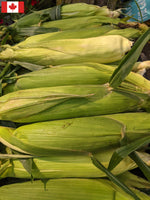Load image into Gallery viewer, Local Sweet Corn

