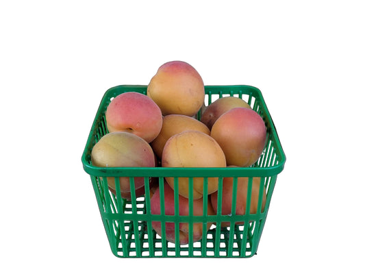 Apricots - Local