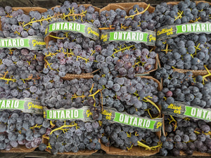 Local Grapes
