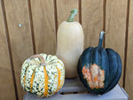 Load image into Gallery viewer, Squash - Local
