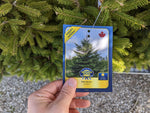 Load image into Gallery viewer, White Spruce
