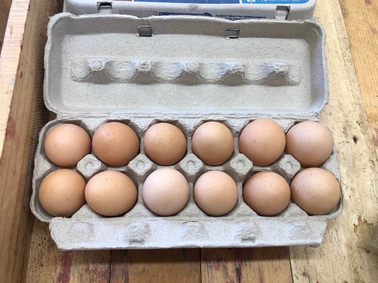 Large Grade A Brown Eggs - Packham Poultry