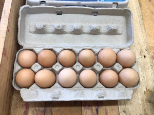 Large Grade A Brown Eggs - Packham Poultry