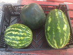 Load image into Gallery viewer, Local Watermelon
